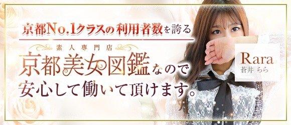 京都美女図鑑~素人専門店~