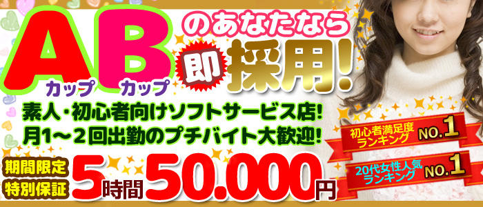 貧乳パラダイス