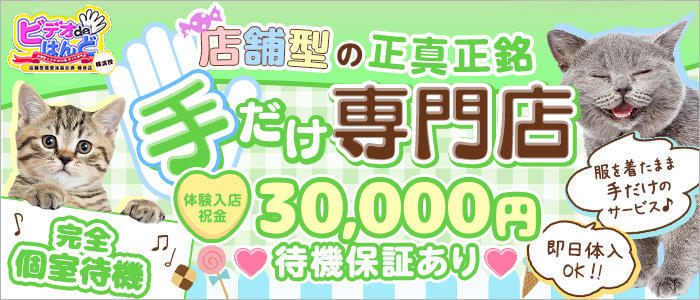 ビデオdeはんど横浜校(アクセスグループ)