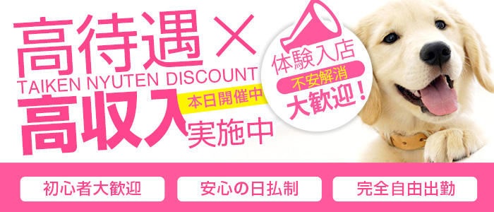 ルックコレクション